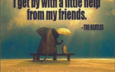 With a little help from your friends