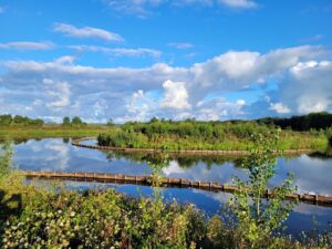 Natuurbegraafplaats Geestmerloo