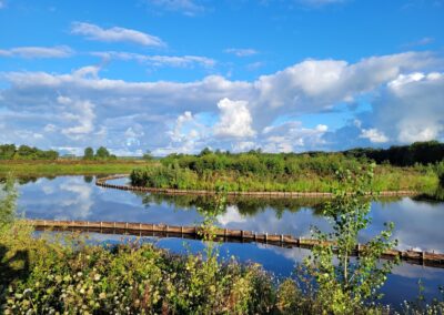 Natuurbegraafplaats Geestmerloo